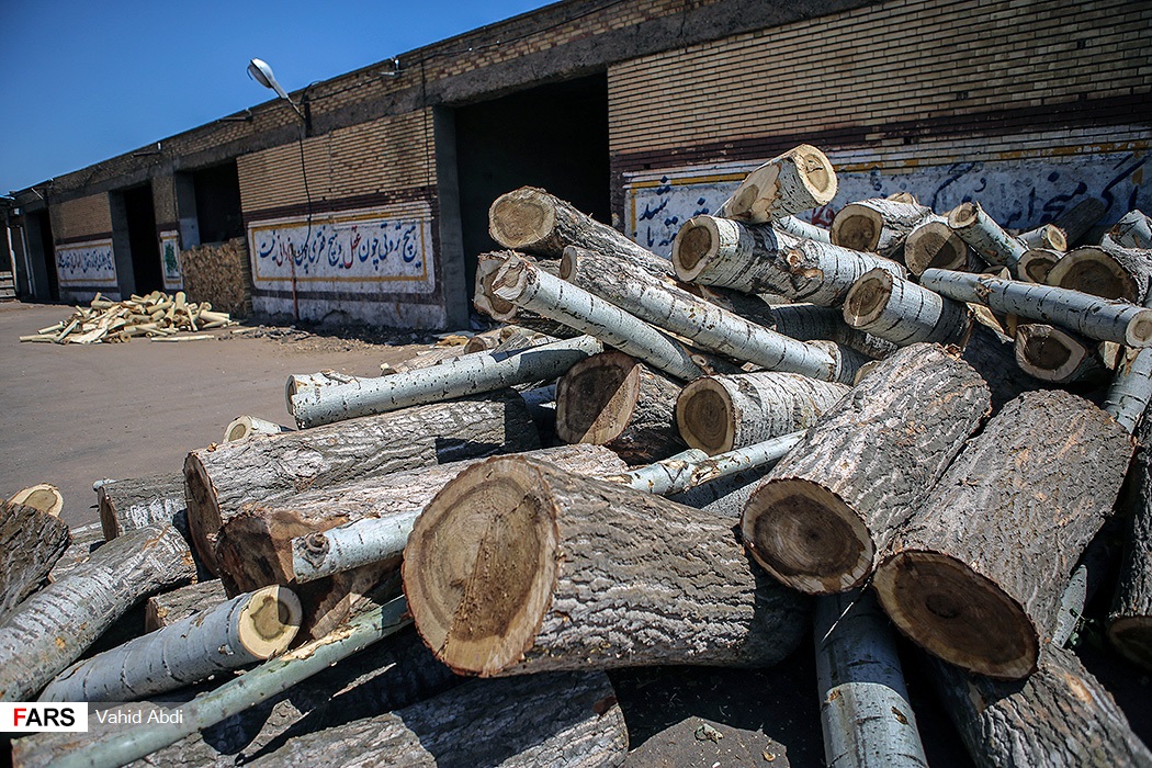 اینجا کارگاه, «کبریت سازی », در تبریز, میباشد,+گزارش, تصویری,پایگاه عدالت خواهان بزرگترین و پریازدیدترین سایت, خبری ایران و استان گلستان, اخبار حوادث استان گلستان, اخبار روز استان گلستان,