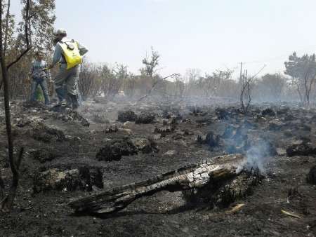 مهار آتش جنگل در جزیره آشوراده