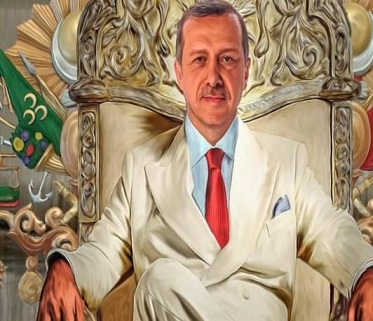  بازی جدید در عرصه سیاسی ترکیه / اردوغان به دنبال احیای میراث سلطان سلیم عثمانی