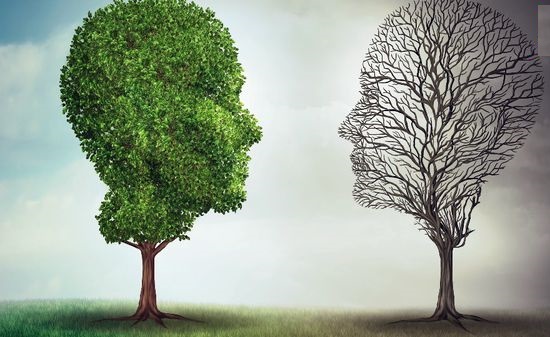 راه‌های برون‌رفت از دوقطبی حاضر چیست؟/ اصولگرایان دچار یک بی‌برنامگی در حوزه اولویت‌بندی 