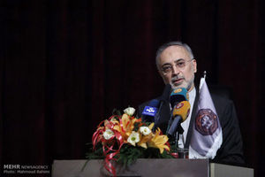 صالحی: می توانستیم در مذاکرات بهتر عمل کنیم