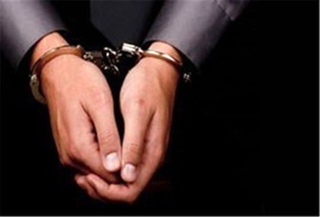 بازداشت و احضار برخی عناصر نفوذی در حوزه کنترل جمعیت توسط نهادهای امنیتی کشور