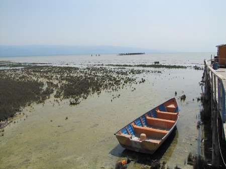تشنگی خلیج گرگان - تشکیل کارگروه نجات در گلستان