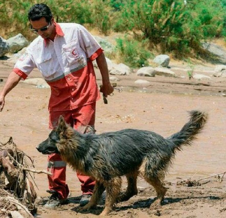 حادثه برای گلستانیها؛ هشدارهای هواشناسی را جدی بگیرید