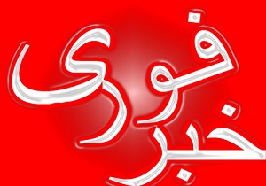 حمله یک مهاجم با سلاح سرد به مردم در فنلاند 