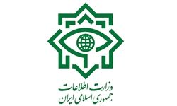 تلاش دشمن برای نفوذ به کشور/وزارت اطلاعات اقدامات سنگینی برای خنثی‌سازی برنامه‌های دشمن انجام داد