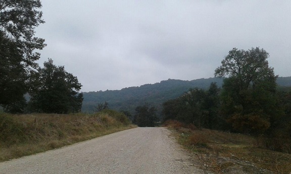 اغماض و چشم پوشی در قبال تصرف 31000مترزمین های منابع طبیعی درتوشن گرگان+عکس