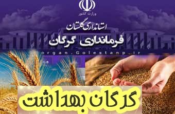 بررسی کیفیت گندم و آرد کارخانجات به عهده بهداشت گرگان است نه فرمانداری