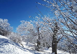 بارش نزدیک به یک متری برف در گلستان
