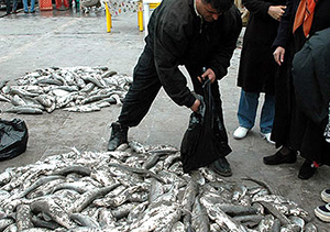 هشدار دامپزشکی به شهروندان گلستانی 