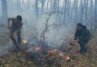 اطفاء آتش سوزی در اکثر مناطق جنگلی استان گلستان / عملیات اطفا آتش‌ در منطقه «جهان‌نما» ادامه دارد