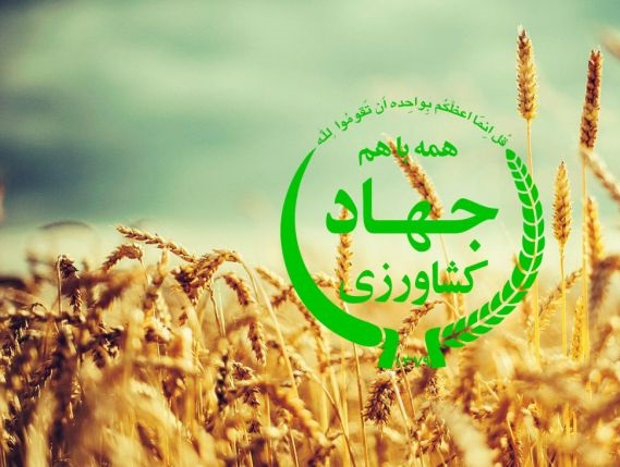  چرا وزارت جهاد کشاورزی از پرداخت پول کشاورزان امتناع می کند؟