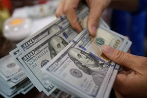احتمال آغاز به کار صرافی‌ها با توزیع دلار ۴۲۰۰تومانی