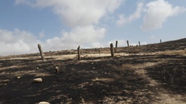 «خالد نبی» در استان گلستان بار دیگر آتش گرفت+عکس