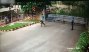 فیلم/ عجیبترین تصادفی که تا حالا دیدهاید!