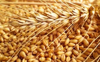 نمایندگان استان گلستان در مجلس چیکار می کنند؟ 