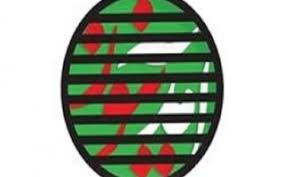 اظهارات گرداننده کانال آمدنیوز درباره حمایت از روحانی