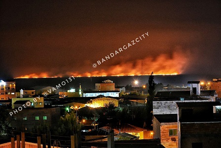 رد پای زمین خواران در آتش افروزی پناهگاه حیات وحش میانکاله