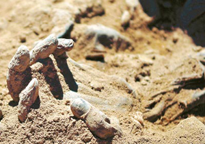 تلاش مردم برای نجات دختر هندی زنده به گور شده +فیلم 