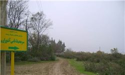 جزیره آشوراده تسلیم وعده های بی عمل  استاندار گلستان تا روحانی!!