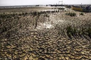  اگر به خلیج گرگان توجه نشود در چند سال آینده شاهد ورود ریزگردها به استان خواهیم بود.