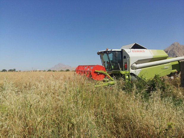 گلستان پایلوت مزارع شورزی و بهره از آب های نامتعارف کشور می شود