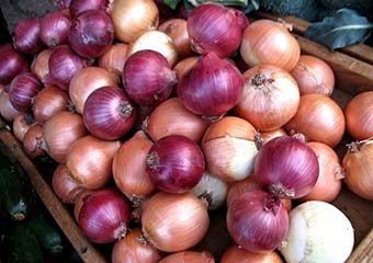  دستگیری 8 نفر در ماجرای قاچاق 33 تن پیاز