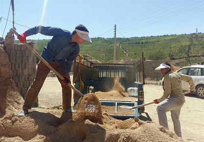 بودجه گروههای جهادی