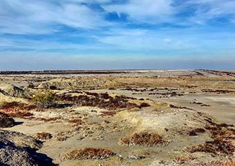 پرورش میگو به چه قیمتی تولید یک کانون جدید ریزگرد در گلستان