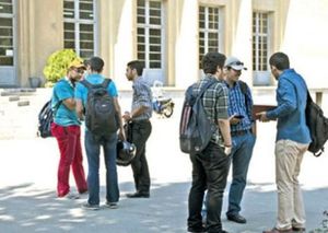 فارغ‌التحصیلان دانشگاهی کجا کار می‌کنند؟