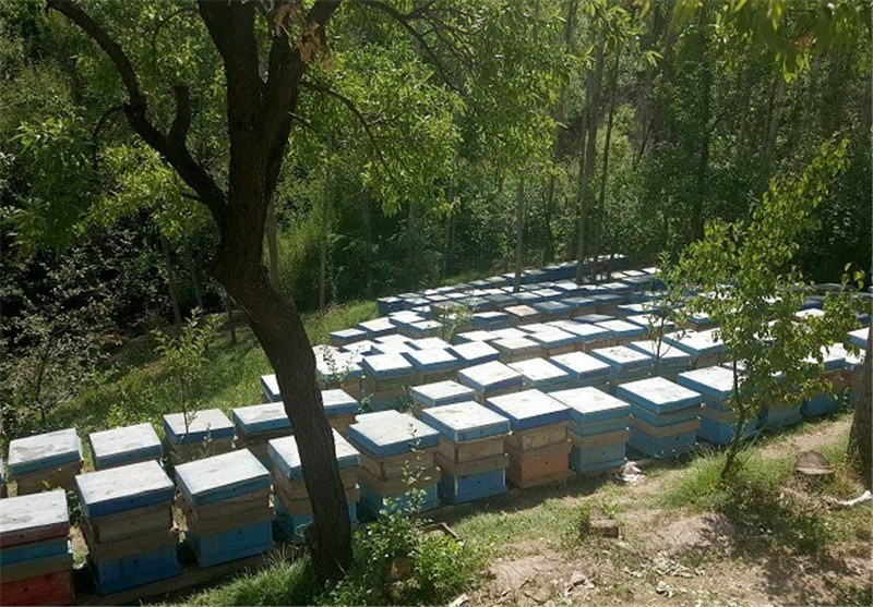 روشهای مبارزه بیولوژیک در تولیدات کشاورزی استان گلستان بکارگیری میشود