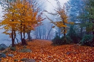 نگاهی بر جاذبه‎های گردشگری استان گلستان شهرستان مینودشت