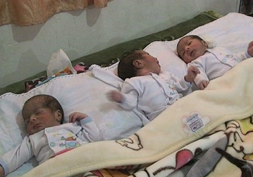 سه قلوهای گلستانی منتظر حمایت