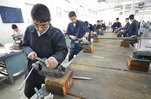 آموزشهای مهارتی مبتنی بر سند آمایش میشود/ راهاندازی شورای مهارت در گلستان