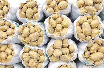 صادرات 10 هزار تن سیب زمینی گلستان به کشور های cis و افغانستان