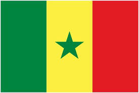 ابراز همدردی سنگال با مردم ایران و محکومیت اقدامات تروریستی چهارشنبه در تهران