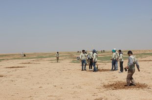 نزديك به 300 هزار هکتار از اراضی گلستان مستعد بیابانی‌شدن است/ عمليات اصلاحی و احیایی در 4 هزار هکتار از اراضی گلستان