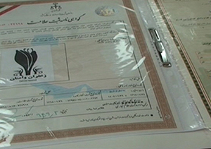 برند زعفران گلستان در پیچ و خم اداری