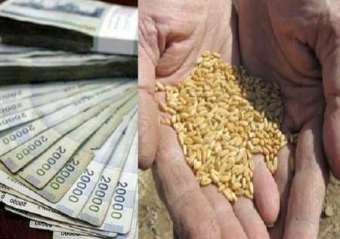 پرداخت 65 درصد وجوه جوکاران گلستانی از طریق بورس کالا