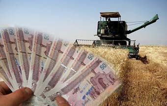 گرفت نبهای دسترنج گندمکاران گلستانی