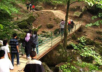 گم کردن راه 6 دختر و پسر مست در جنگل های شیرآباد 