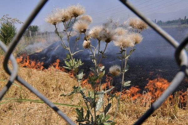 دود شدن ۸ میلیارد ریال سرمایه گلستان
