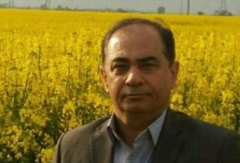 قیمت تضمینی پنبه و دانه های روغنی در سال زراعی 96 / افزایش 10 درصدی قیمت