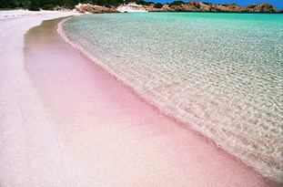 طرح «جاده سلامت ساحلی» از سواحل بندرگز تا نوکنده اجرا می شود