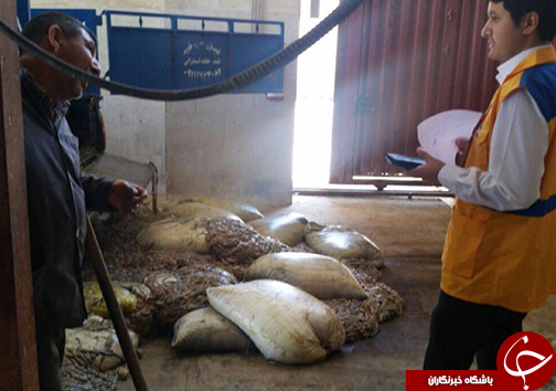 ۷۰۰ کیلوگرم روده مرغ در گلستان کشف شد+تصاویر