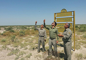  ۳۵ کوکر شکم سفید در گلستان رها شدند