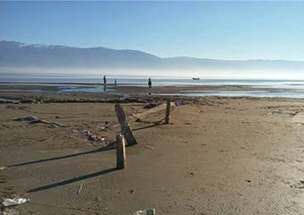 خلیج گرگان: نجاتم دهید