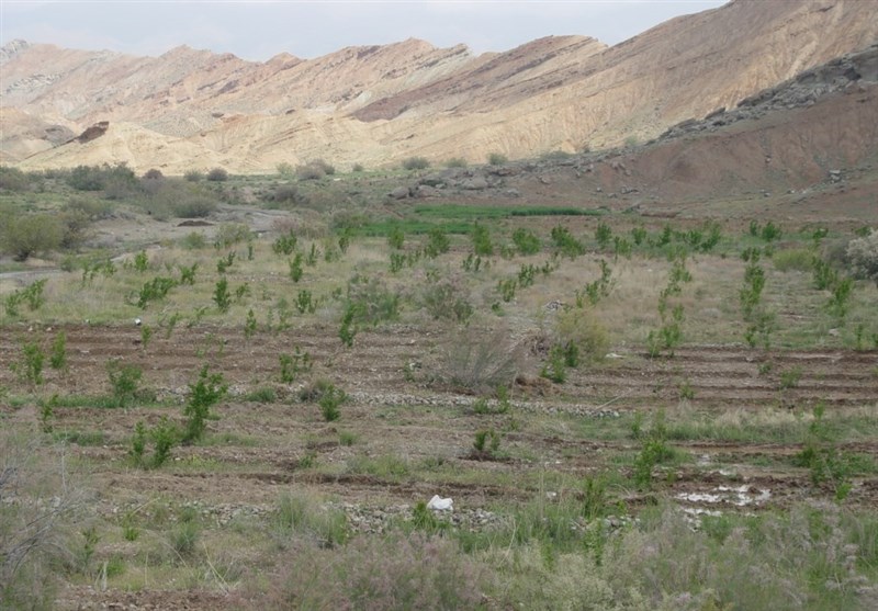 ۲۲۵ میلیارد تومان برای بخش آب و خاک در استان گلستان اختصاص یافت