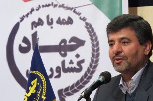 لزوم رعایت تناوب زراعی برای تولید پایدار در بخش کشاورزی/ کشت برنج، دشمن آب، خاک و آینده تولید کشاورزی