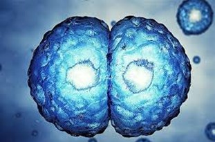 70 درصد مرگ و میر ناشی از سرطان در کشورهای با درآمد پایین است